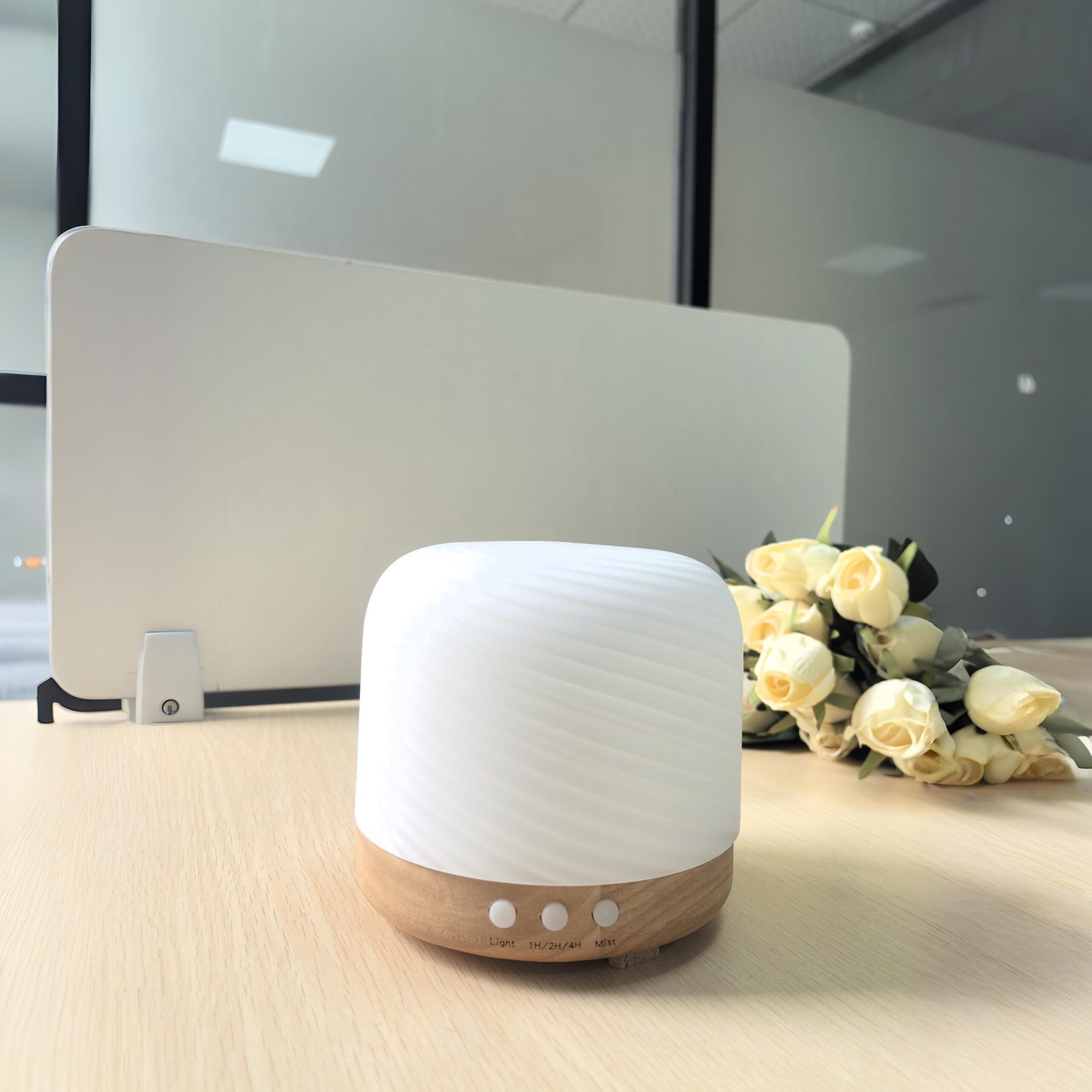 crystal glass diffuser & humidifier